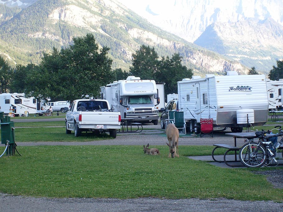 Carson City, NV 12 Highly Rated RV Parks & Campgrounds