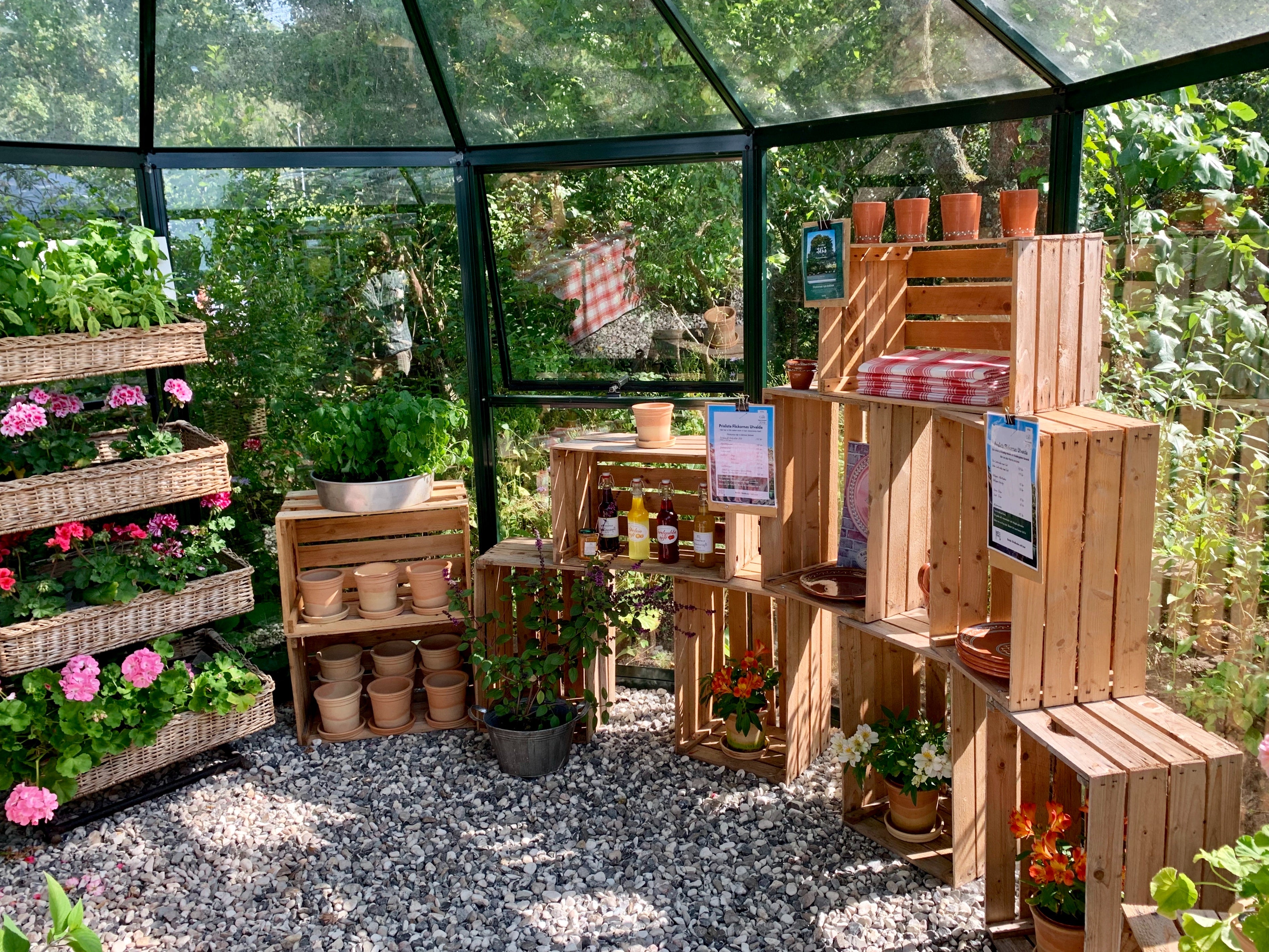 Solar-Powered Greenhouse 