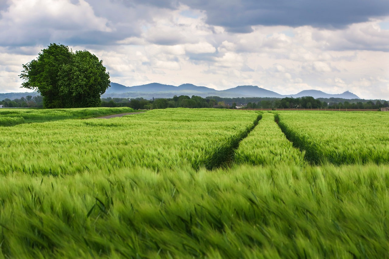 bluetti solar energy for agriculture