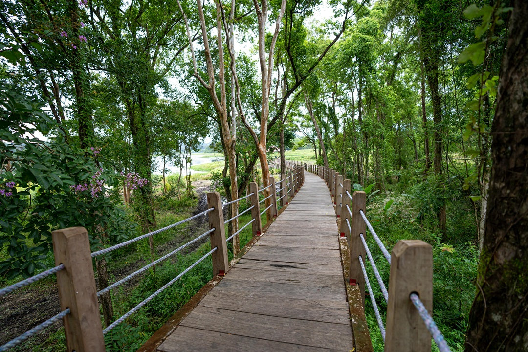 Which National Park is Best to Visit in Summer?