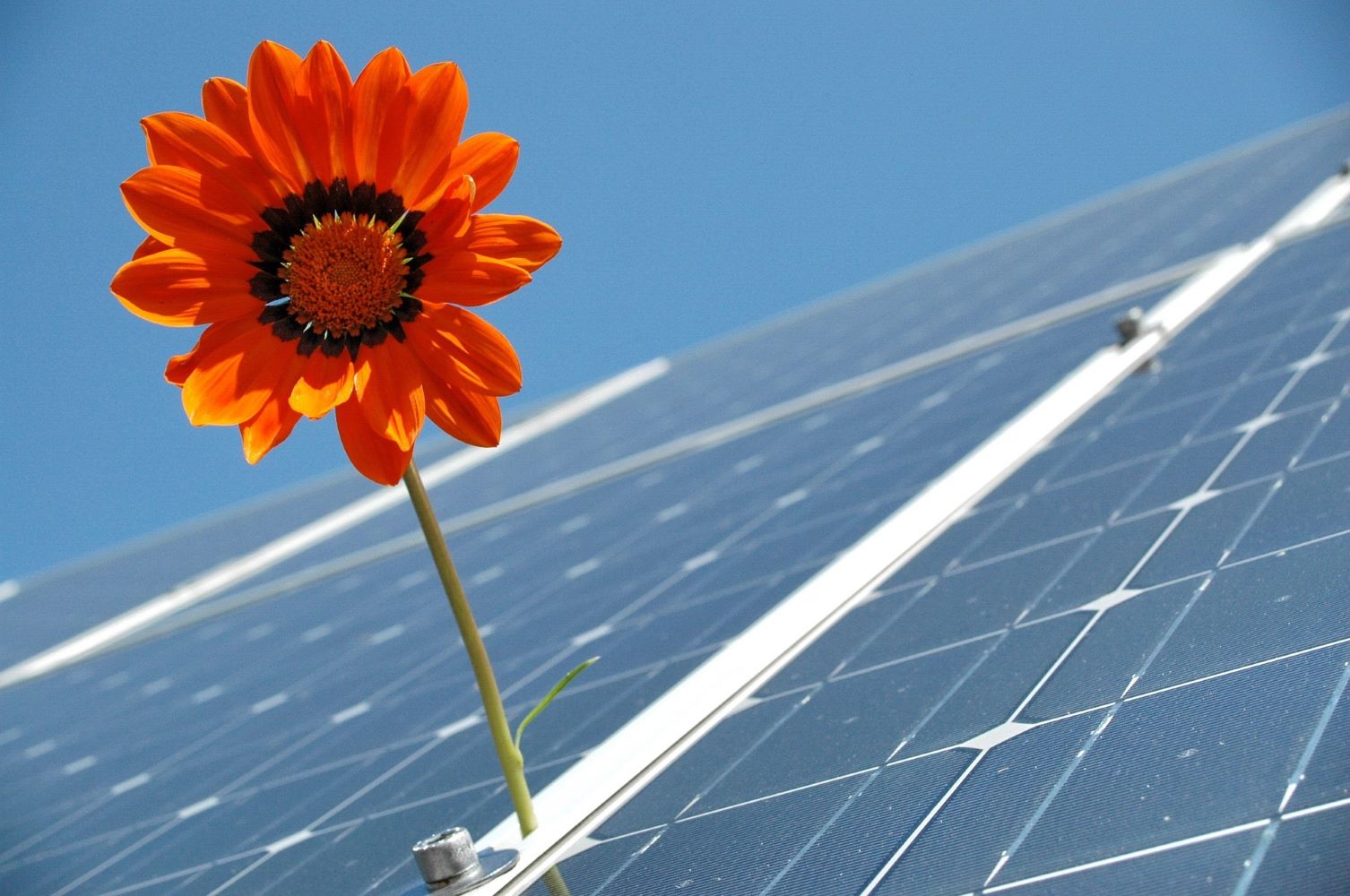 Guide to 10 Best Solar Companies in Illinois (IL)