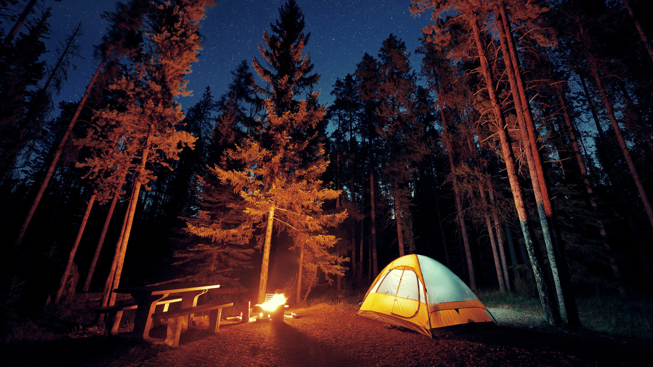 Camping Hacks for Your Next Adventure: A Comprehensive Guide