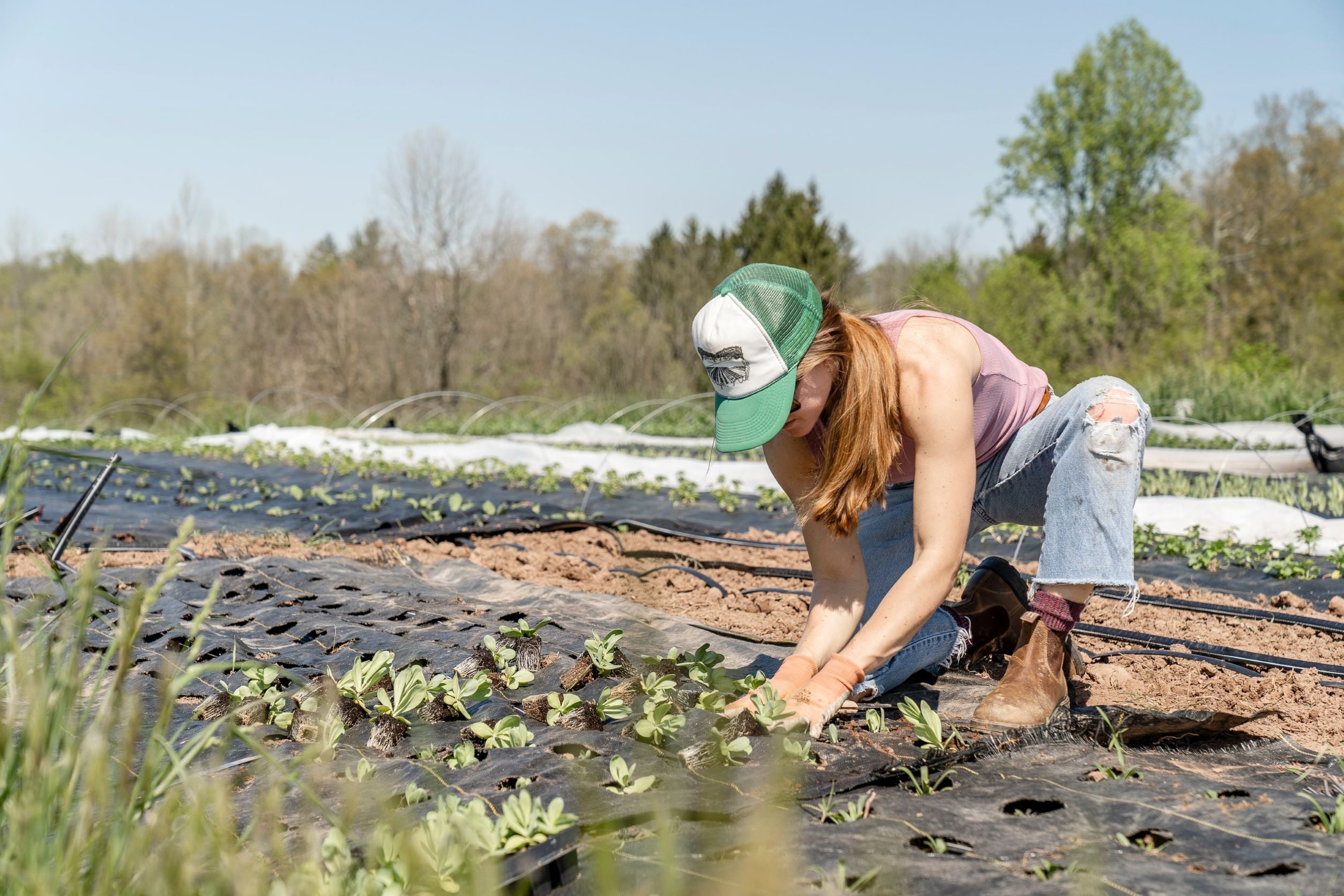 Portable Solar Panels for Farmers 